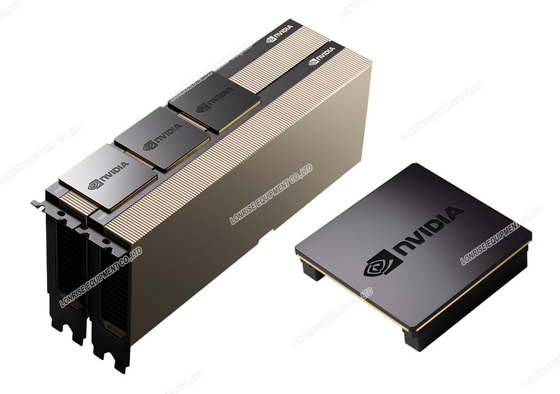 NVIDIA Tesla A100 Ampere 40 GB Bộ vi xử lý đồ họa PCIe 4.0 x16 - Cổng kép